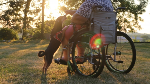 Deset tipů, jak si správně vybrat vozík